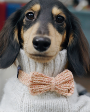 ハンドメイドニット ボウタイ / Funky Gentle dogシリーズ アルパカウールブレンド