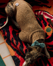 ハンドメイドニット ボウタイ / Funky Gentle dogシリーズ アルパカウールブレンド