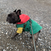 ウィンド ソフト シェル グリーン / WIND SOFT SHELL