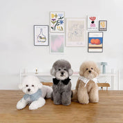 フリルセーラーカラー / FILLETTE collar