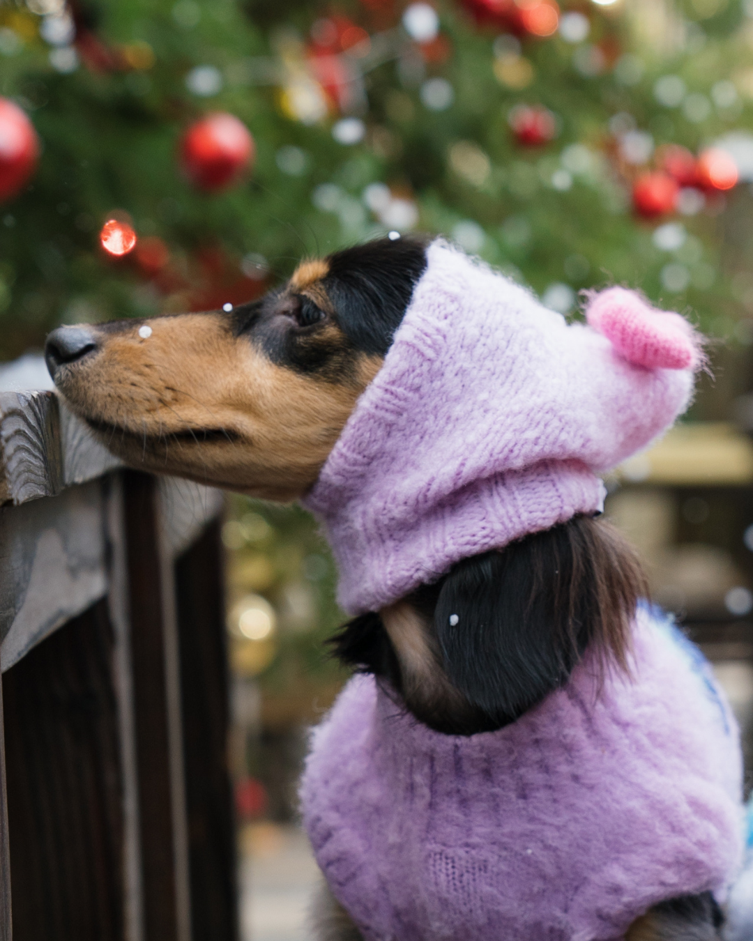 「モチボンボン」ウールニットビーニー / ハンドメイドファッションシリーズ