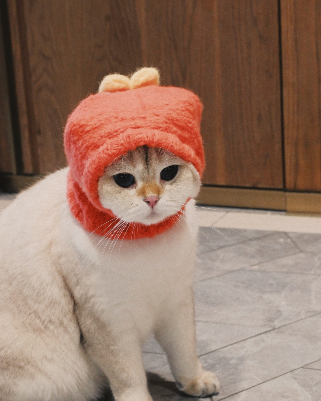 「モチボンボン」ウールニットビーニー / ハンドメイドファッションシリーズ