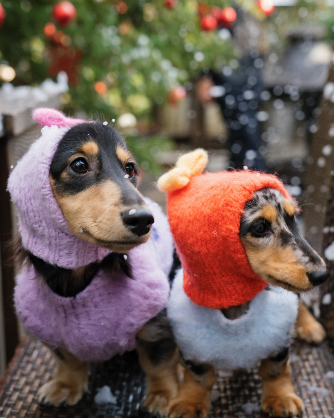 「モチボンボン」ウールニットビーニー / ハンドメイドファッションシリーズ