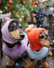 「モチボンボン」ウールニットビーニー / ハンドメイドファッションシリーズ