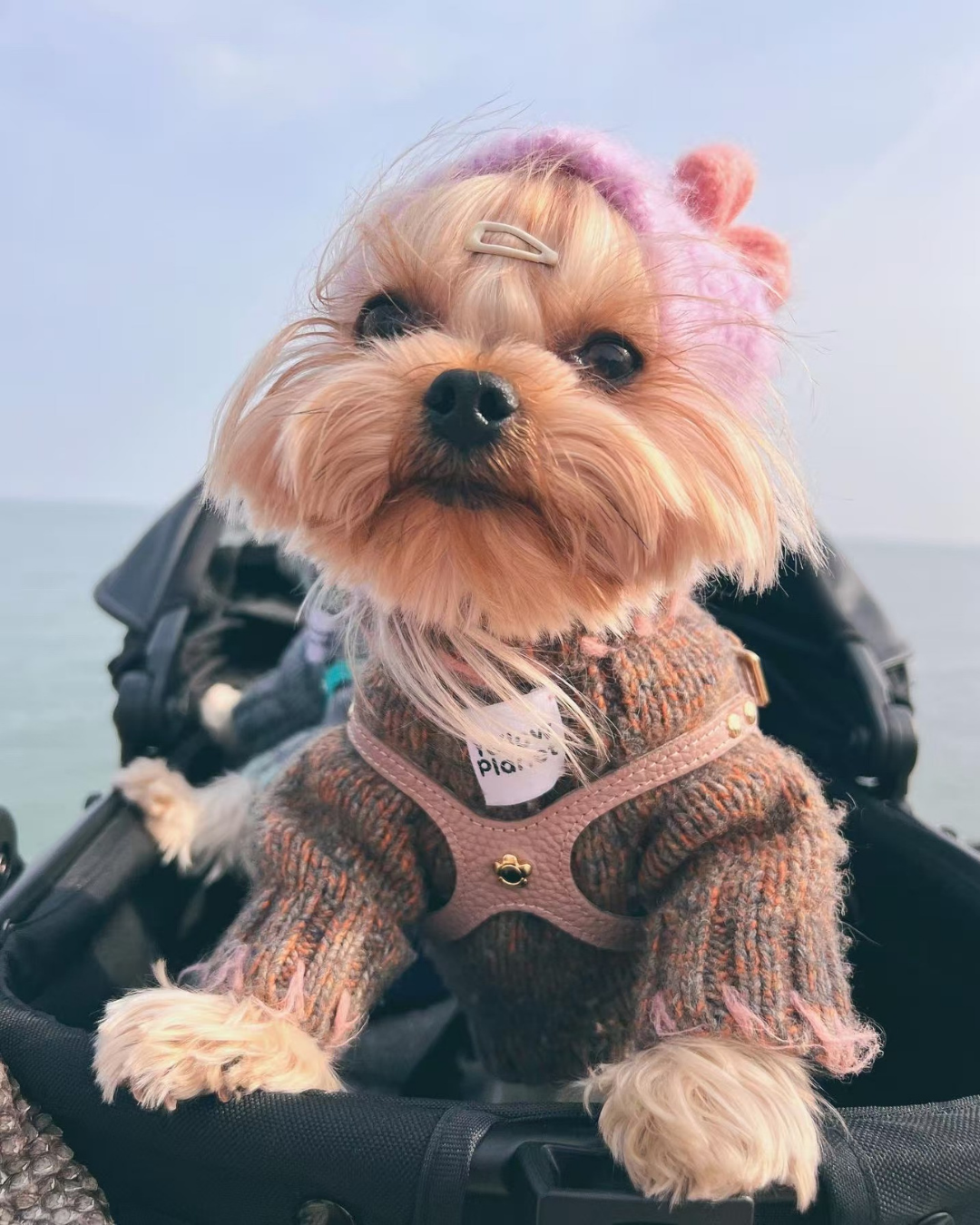 「モチボンボン」ウールニットビーニー / ハンドメイドファッションシリーズ