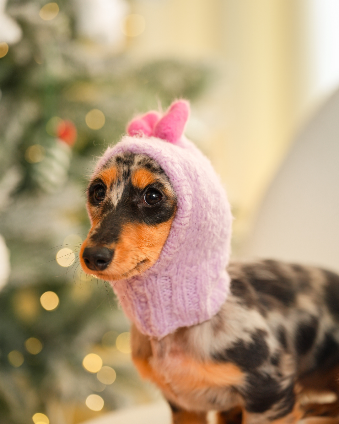 「モチボンボン」ウールニットビーニー / ハンドメイドファッションシリーズ