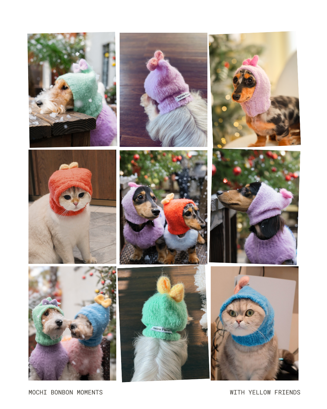 「モチボンボン」ウールニットビーニー / ハンドメイドファッションシリーズ