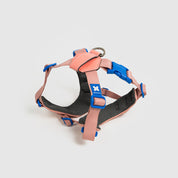 10周年特別モデル【体に優しいシリーズ】ピンク / 10th year harness