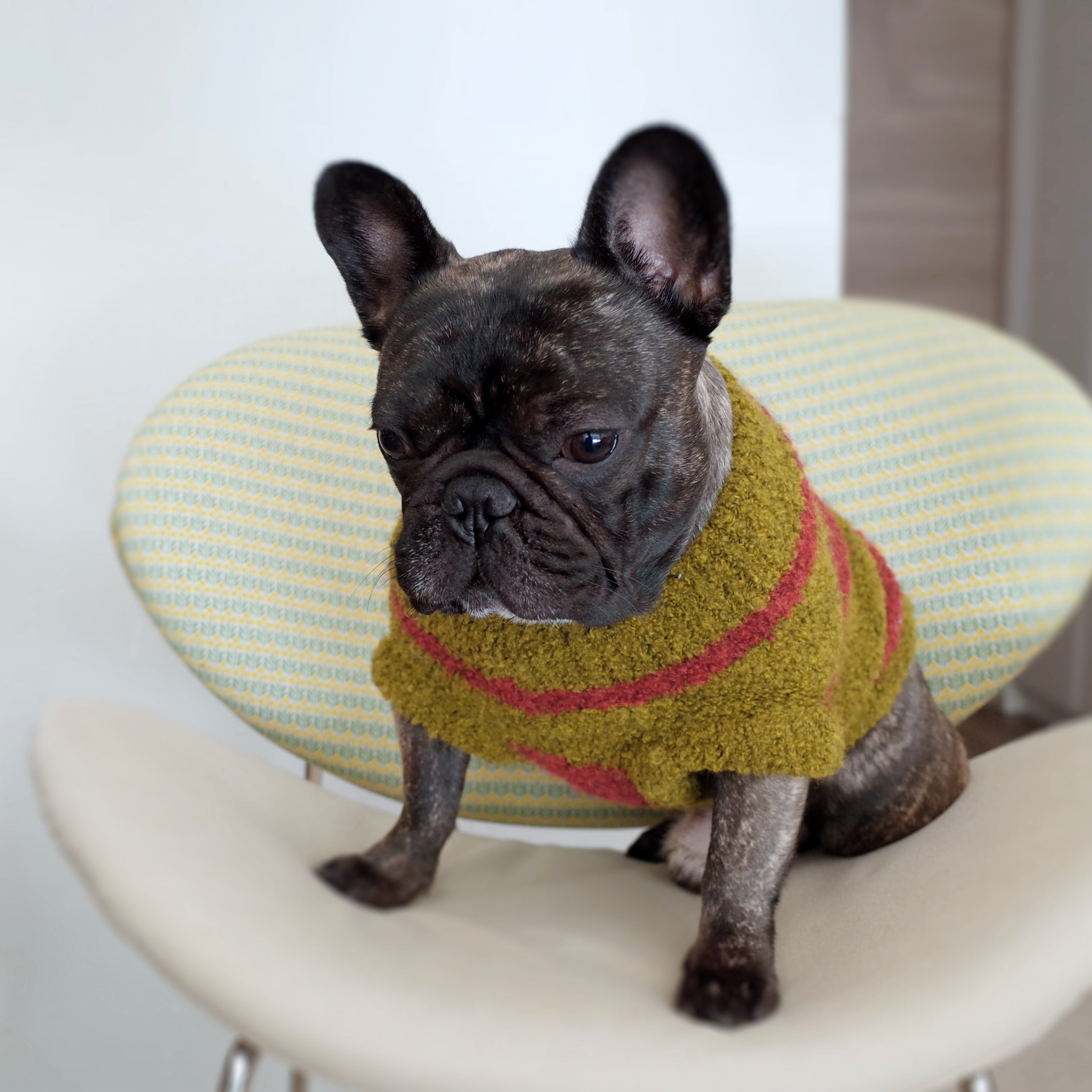 ストライプセーター / Red Striped Dog Sweater