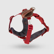 【体に優しいシリーズ】ハーネス レッド / Explore harness