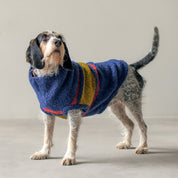 バイカラーセーター / Bicoloured Bands Dog Sweater