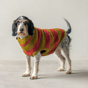 ストライプセーター / Red Striped Dog Sweater