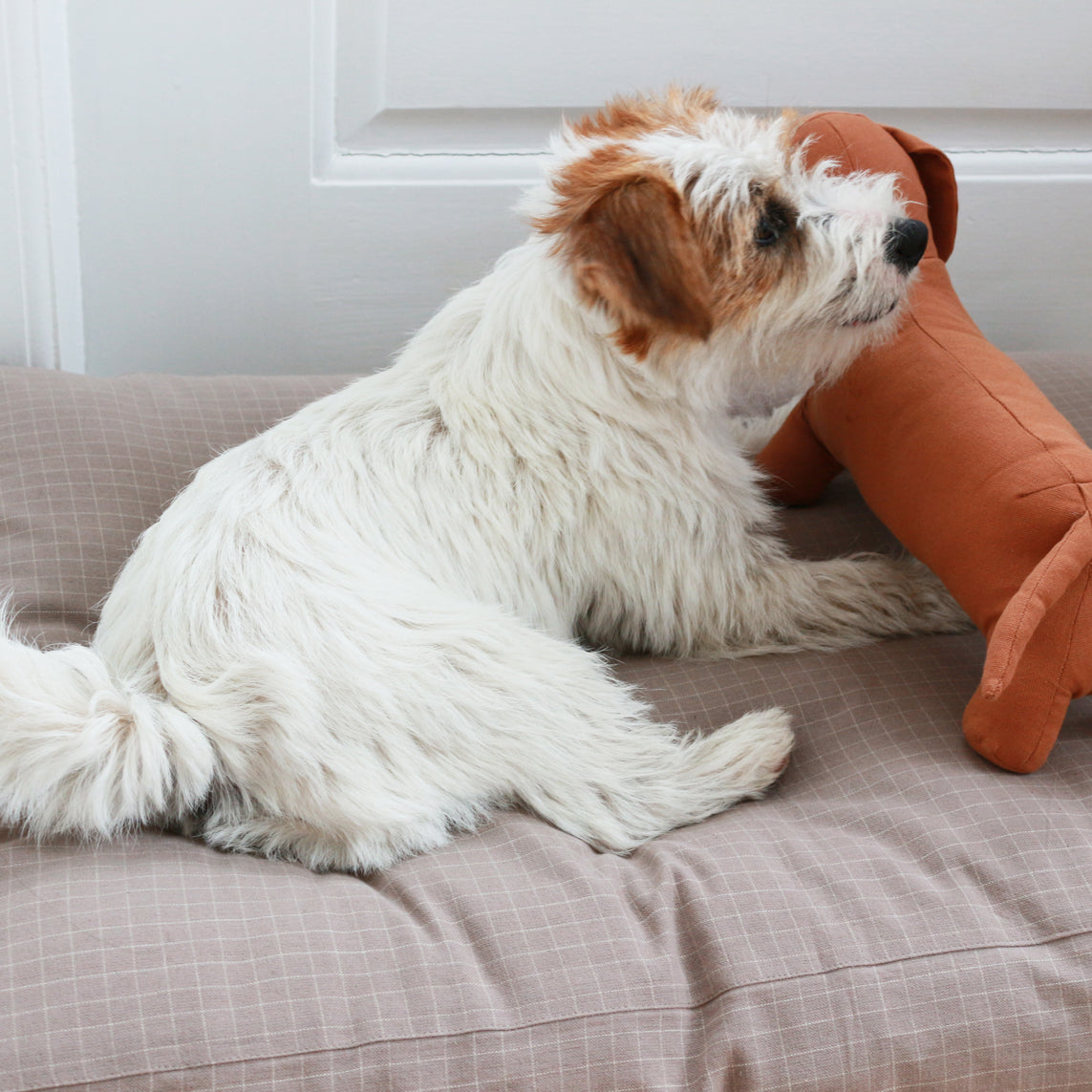 スクエアベッド / Tobine