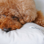 スクエアベッド / Tobine