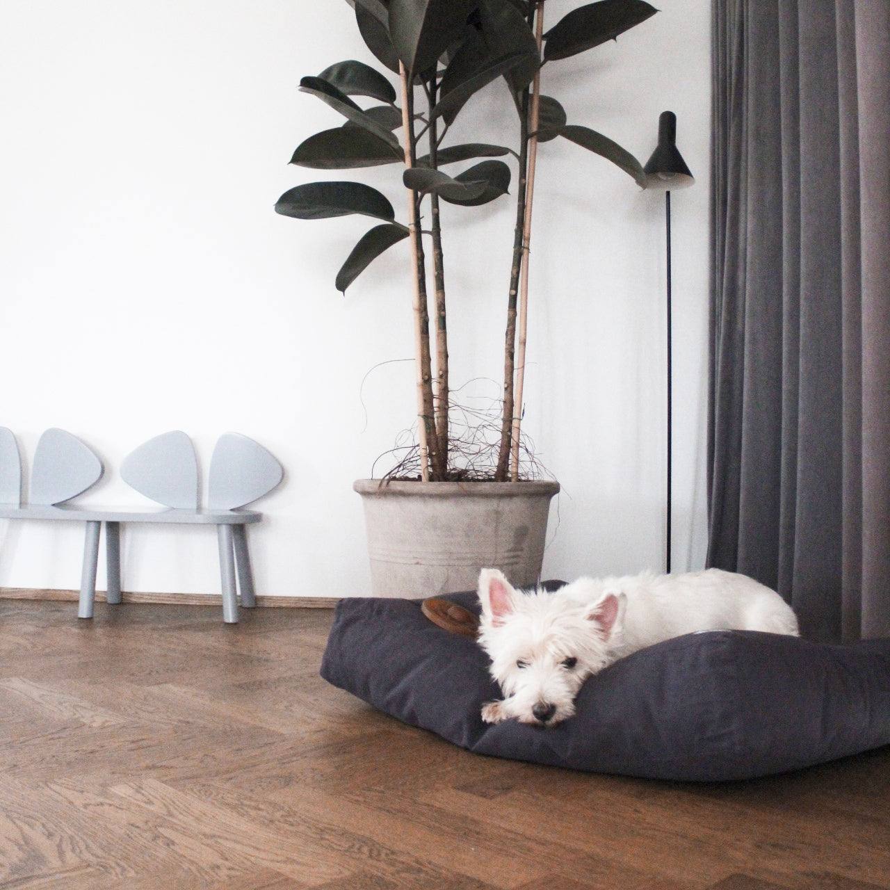 スクエアベッド / Tobine