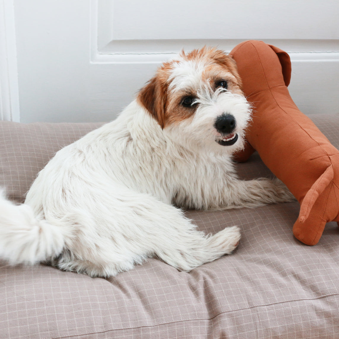 スクエアベッド / Tobine