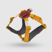 【体に優しいシリーズ】ハーネス イエロー / Explore harness