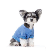 フリル フリル Tシャツ / frill-frill T