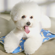 パンジークールマット / Pensee Cool Mat