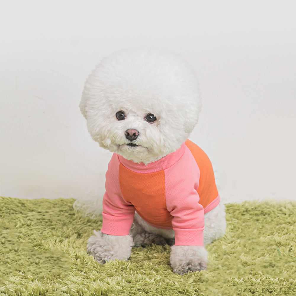 虫除け機能付きクールTシャツ / Antiburg Coolguard T-shirt