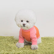 虫除け機能付きクールTシャツ / Antiburg Coolguard T-shirt