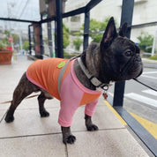 虫除け機能付きクールTシャツ / Antiburg Coolguard T-shirt