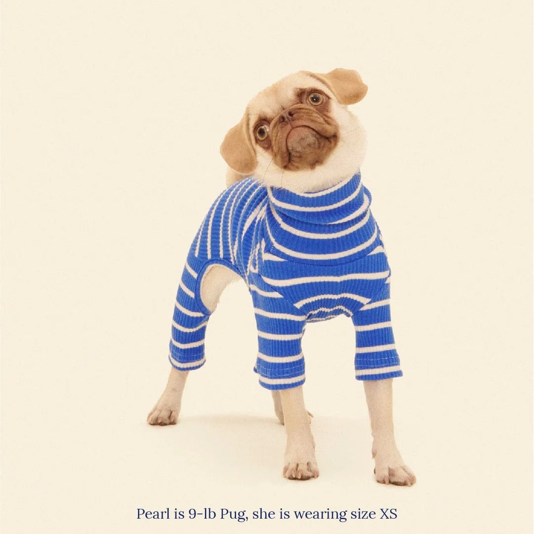 little-beast-greek-to-me-onesie-dog-onesie-47548160082206_x1440.progressive_98606d2c-67d8-44a5-bd63-69dc5f367512.jpg