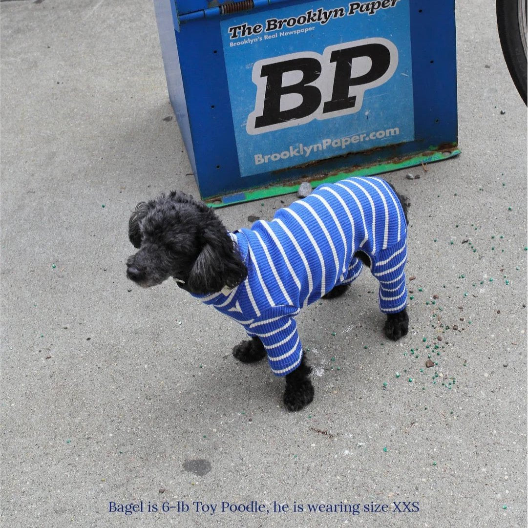 little-beast-greek-to-me-onesie-dog-onesie-47548190359838_x1440.progressive_f8d590c6-9b8d-4392-bebf-dcac7d9ef114.jpg