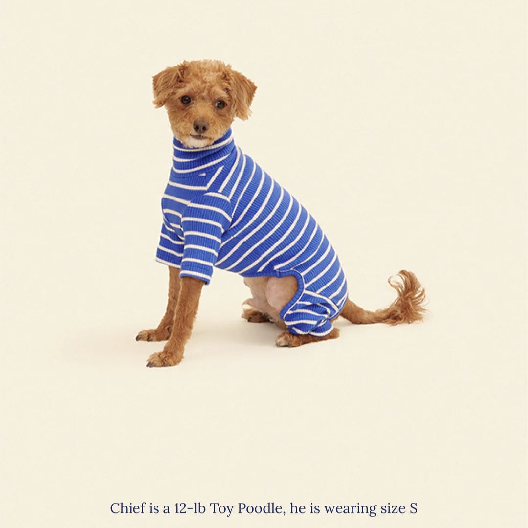 little-beast-greek-to-me-onesie-dog-onesie-47566376435998_x1440_progressive_png.jpg