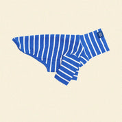 ストライプ リブ プルオーバー / Striped sweatshirt