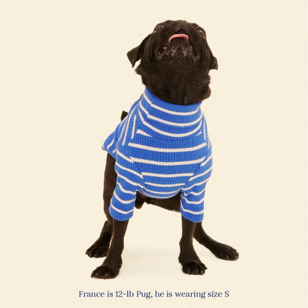 ストライプ リブ プルオーバー / Striped sweatshirt