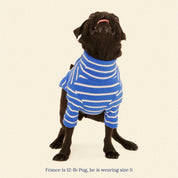 ストライプ リブ プルオーバー / Striped sweatshirt