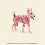 ストライプ リブ ロンパース / Striped Onesies