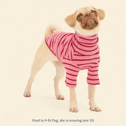 ストライプ リブ プルオーバー / Striped sweatshirt