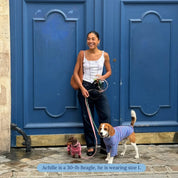 ストライプ リブ プルオーバー / Striped sweatshirt