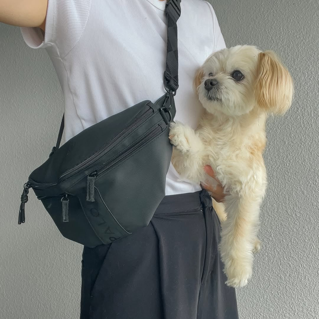 お散歩バッグ ブラック / Dog Bum Bag Emma
