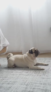 八の字型ハーネス / OTTO escape proof harness