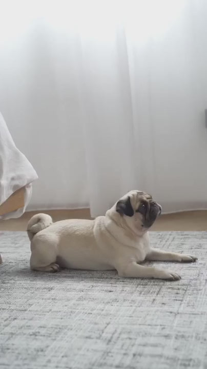 八の字型ハーネス / OTTO escape proof harness