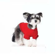 フリル フリル Tシャツ / frill-frill T