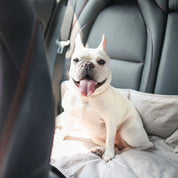 ウォータープルーフお出かけマット / ORII ULTRA LIGHT CITY TRAVEL MAT