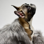 洗えるエコファーブランケット / FÖRA BLANKET