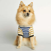 オーガニックコットンボーダーT