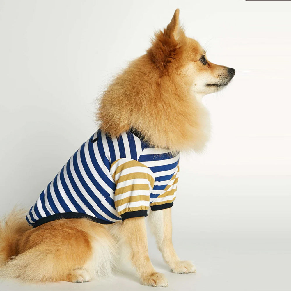 オーガニックコットンボーダーT