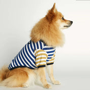 オーガニックコットンボーダーT