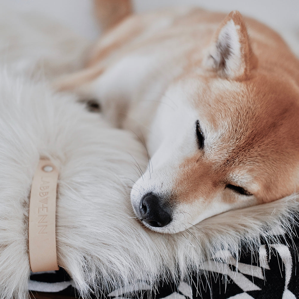 洗えるエコファーブランケット / FÖRA BLANKET