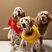 パファージャケット / AL PUFFER