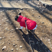 パファージャケット / AL PUFFER