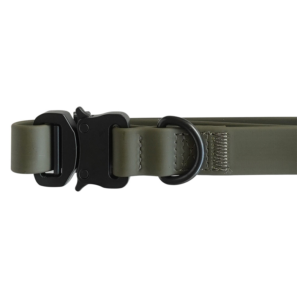  AVA QUICK-RELEASE METAL BUCKLE COLLAR