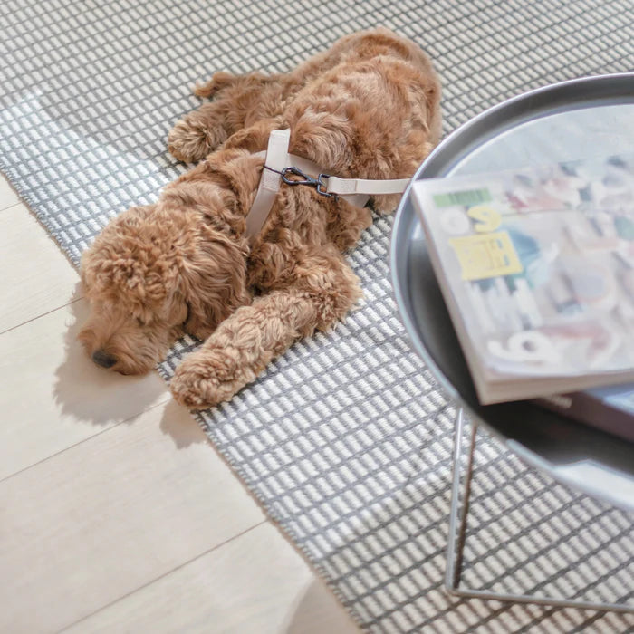 八の字型ハーネス / OTTO escape proof harness