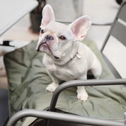 ウォータープルーフお出かけマット / ORII ULTRA LIGHT CITY TRAVEL MAT